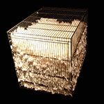 2005. Tahereh Vahedian, Cageful of Hopes