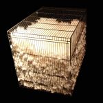 2005. Tahereh Vahedian, Cageful of Hopes