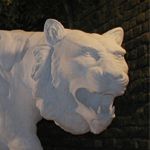 2008. Tahereh Vahedian, Tiger Statue, Fiberglass, 70 x 90 x 230 cm
